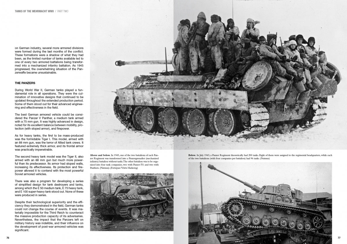 Abteilung 502 ABT760 CHARS DE LA WEHRMACHT WWII · CARLOS DE DIEGO VAQUERIZO – immagine 4