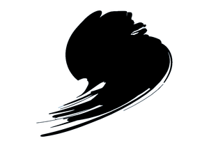 Hataka HTK-D002 Noir 17ml