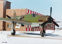 Revell 04686 DORNIER DO335 PFEIL 1/48 – image 2