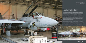 Publications HMH DH-037 Grumman F-14 Tomcat - Avion en détail 037 (Version anglaise)  – Bild 7