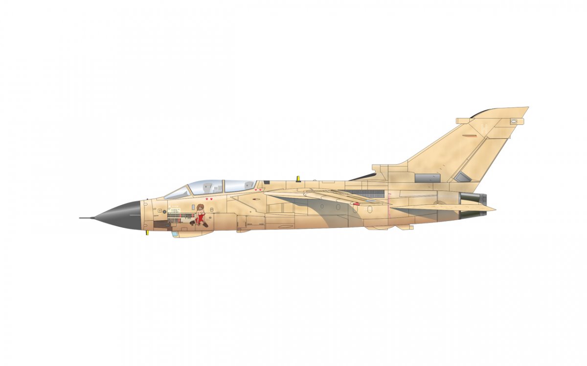 Eduard 2137 DESERT BABES 1/72 – zdjęcie 10