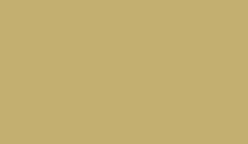 Lifecolor UA480 - Kaki 22 ml