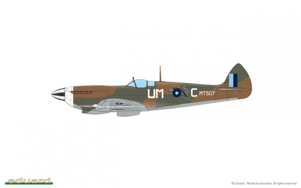 Eduard 84154 Spitfire Mk.VIII Édition Week-end 1/48 – image 5