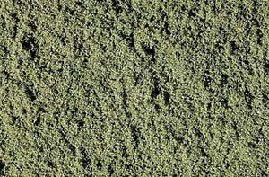 Woodland Scenics WT46 Mauvaises herbes Gazon fin (412 cm3)