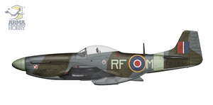 Arma Hobby 70070 P-51D Mustang 1/72