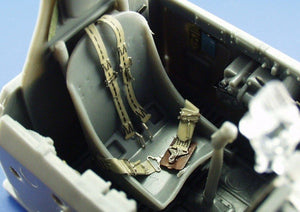 Eduard FE226 P-47D-20 1/48 Tamiya – immagine 2