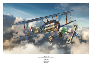 Eduard 8486 Sopwith F.1 Camel (Clerget) 1/48 – Bild 2