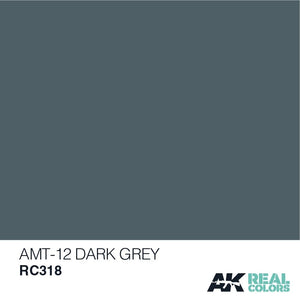 AK Interactive RC318 AMT-12 GRIS FONCÉ 10ML – Bild 2