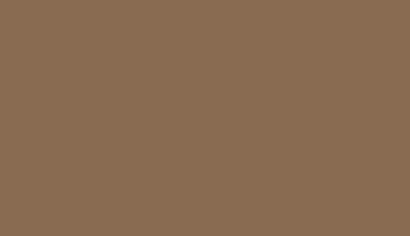 Lifecolor UA473 - Brun foncé 22 ml