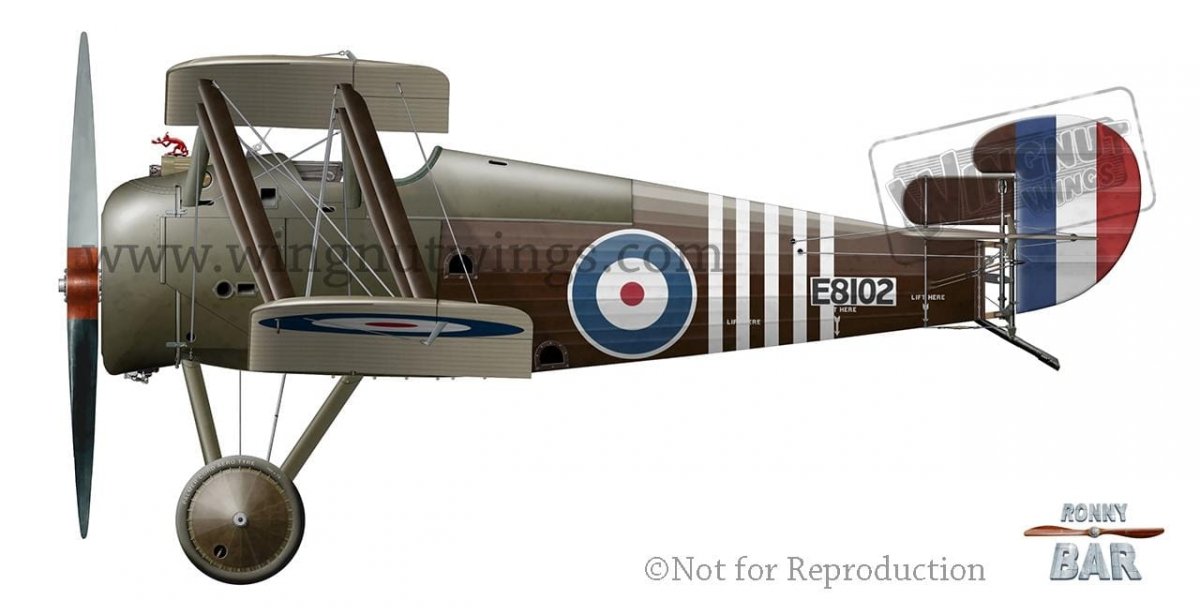 Wingnut Wings 32608 Sopwith 7F.1 Snipe « William Barker » 1/32 – image 4