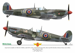 Décalcomanies Exito ED48003 Sexy Spitfires - Supermarine Spitfire LF Mk Vb - VIII - IXe 1/48 – immagine 4