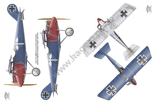 Kagero 6007 Pfalz – Avion de chasse de Rhénanie, le pays du vin (EN) – imagen 5