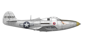 Arma Hobby 40013 P-39 Airacobra RECON 1/48 – image 8