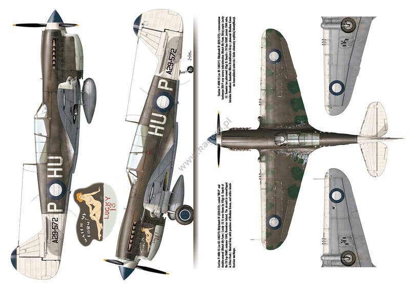 Kagero 3040 Curtiss P-40 vol. II FR – immagine 3